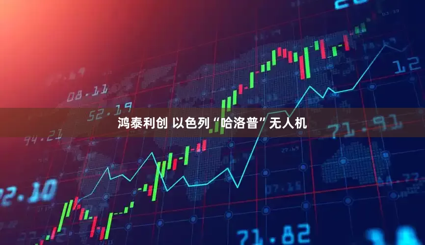 鸿泰利创 以色列“哈洛普”无人机