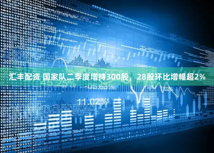 汇丰配资 国家队二季度增持300股，28股环比增幅超2%