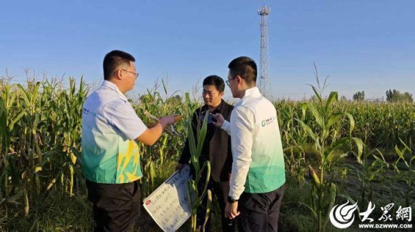 巨人配资 10天速赔+助弱抢收！中国人寿财险德州市中心支公司用“快服务”暖了农户心