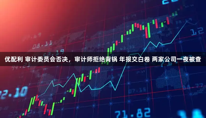 优配利 审计委员会否决，审计师拒绝背锅 年报交白卷 两家公司一夜被查